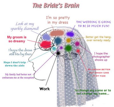 funny brain. Brides Brain Funny